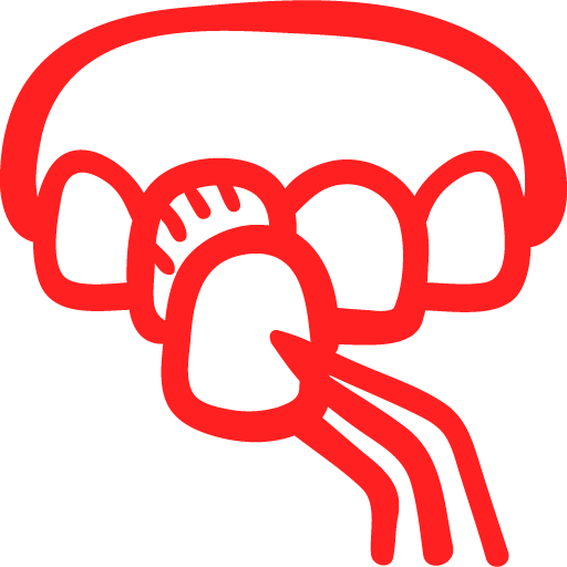SBS Dental-Technik GmbH - Icon - Ästhetische Versorgung
